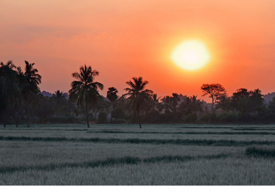 E3-India 
