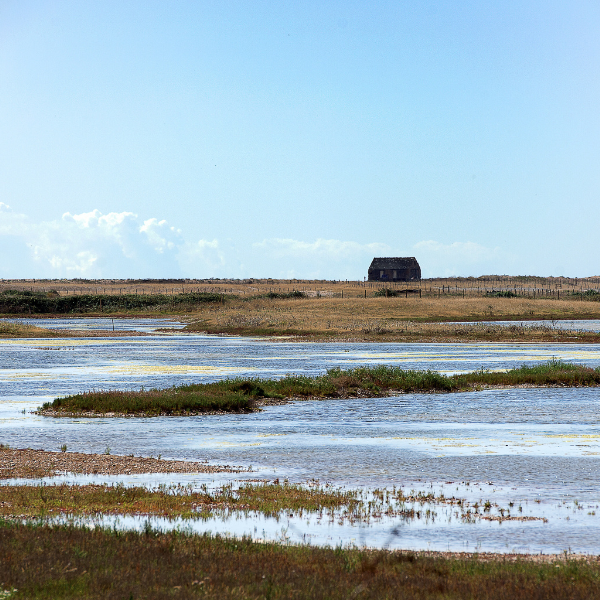 Economic Benefits Nature Based Solutions 