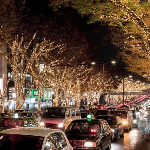 Fossil fuels inflation Japan