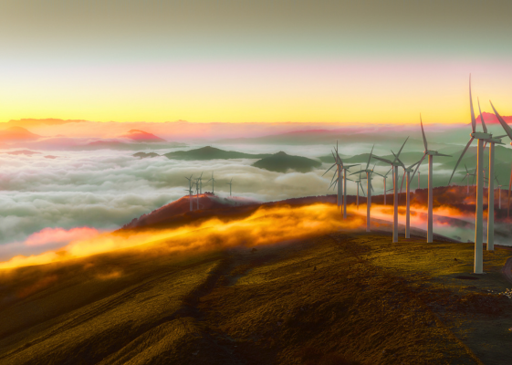 Greening the Economy