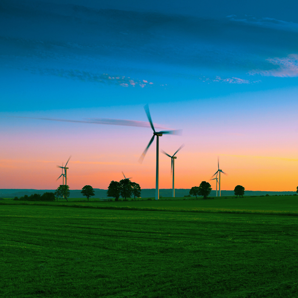 Export as a Measure of Innovation Performance in the Clean Energy Sector