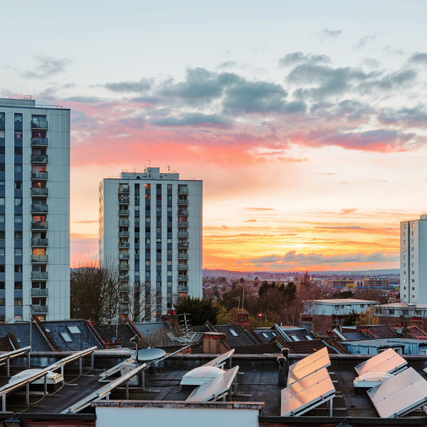 The Distributional Effects of Pathways to Net Zero and the Implications for Fuel and Transport Poverty
