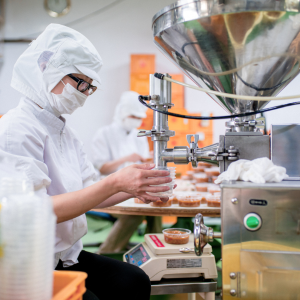 Economic Analysis of Policy Pathways for Increasing Resource Productivity
