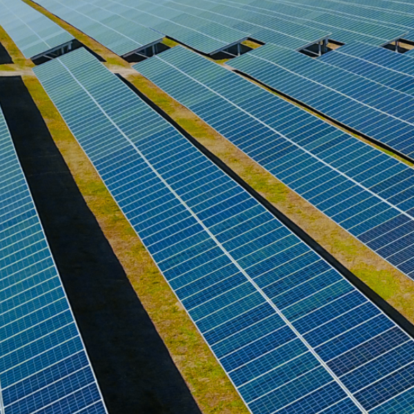 Decarbonization Initiatives Would Generate Significant Benefits to Florida’s Economy