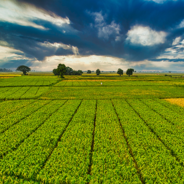 New Research Reveals Current Hydrogen Policies Insufficient to Meet Global Hydrogen Ambitions