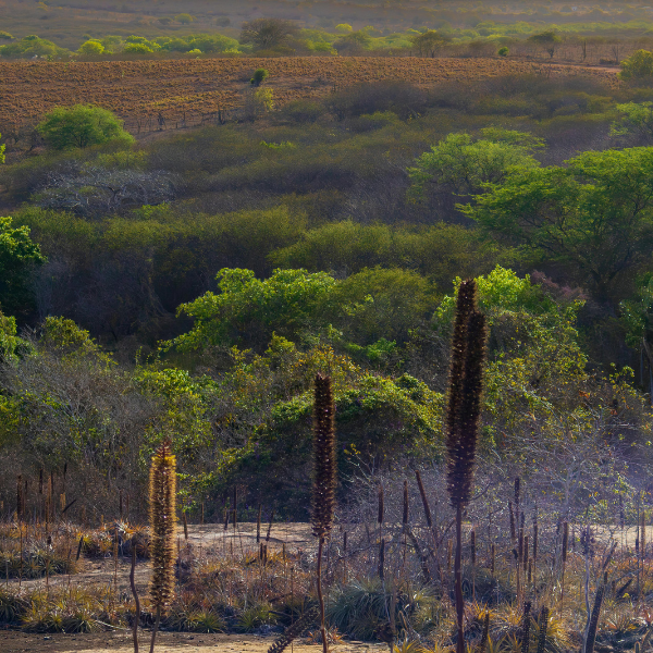 Investor short-termism needs to be fixed to ‘keep 1.5°C alive’