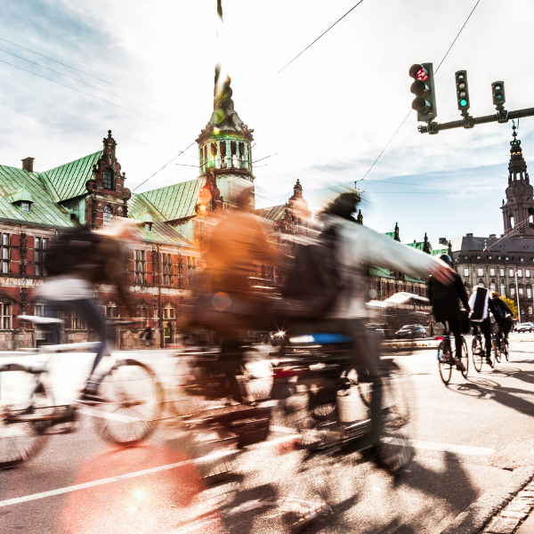 Strategic Perspectives: Turning the European Green Deal into Reality