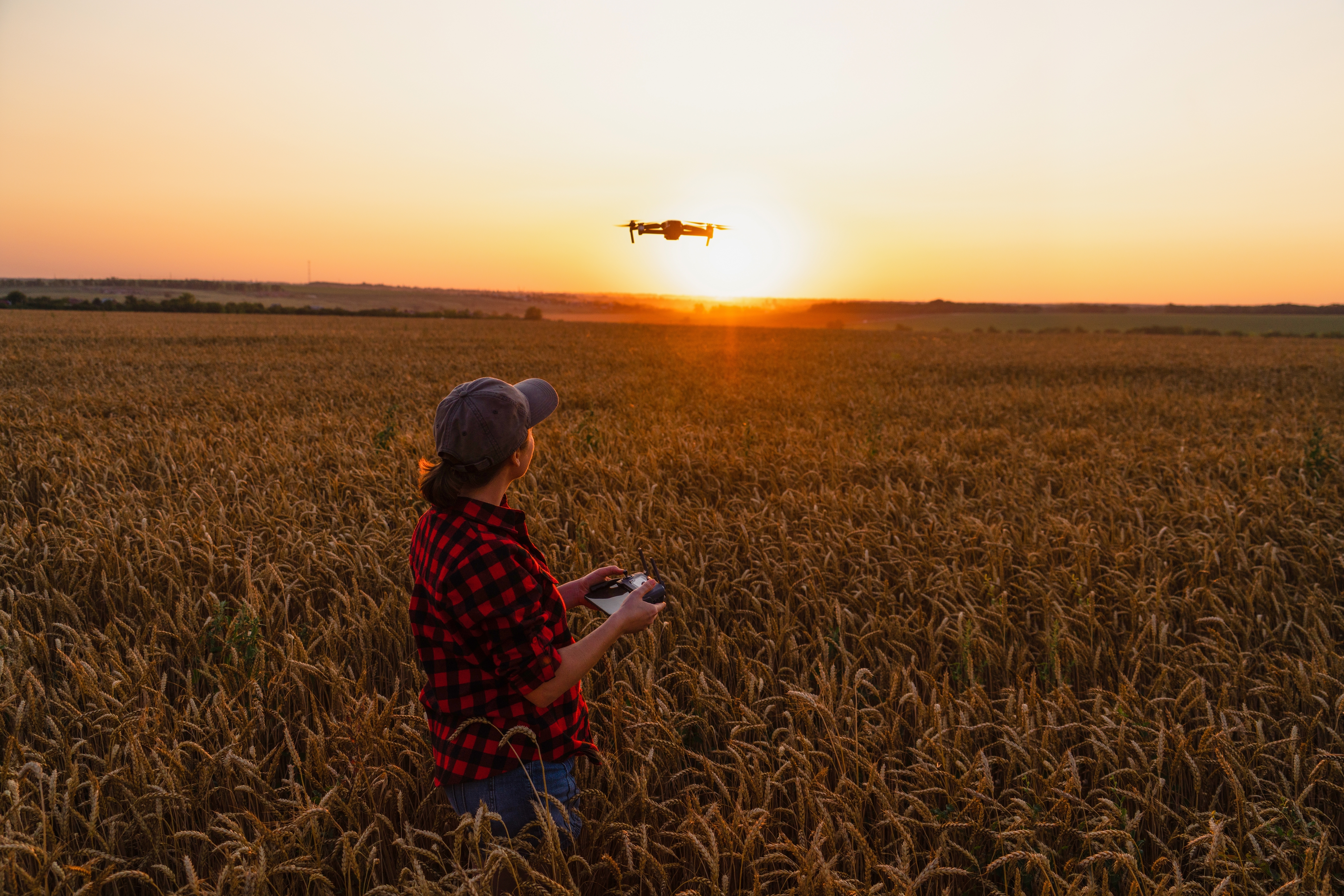 Workforce 2030 : Skills for thriving in the green and digital transition